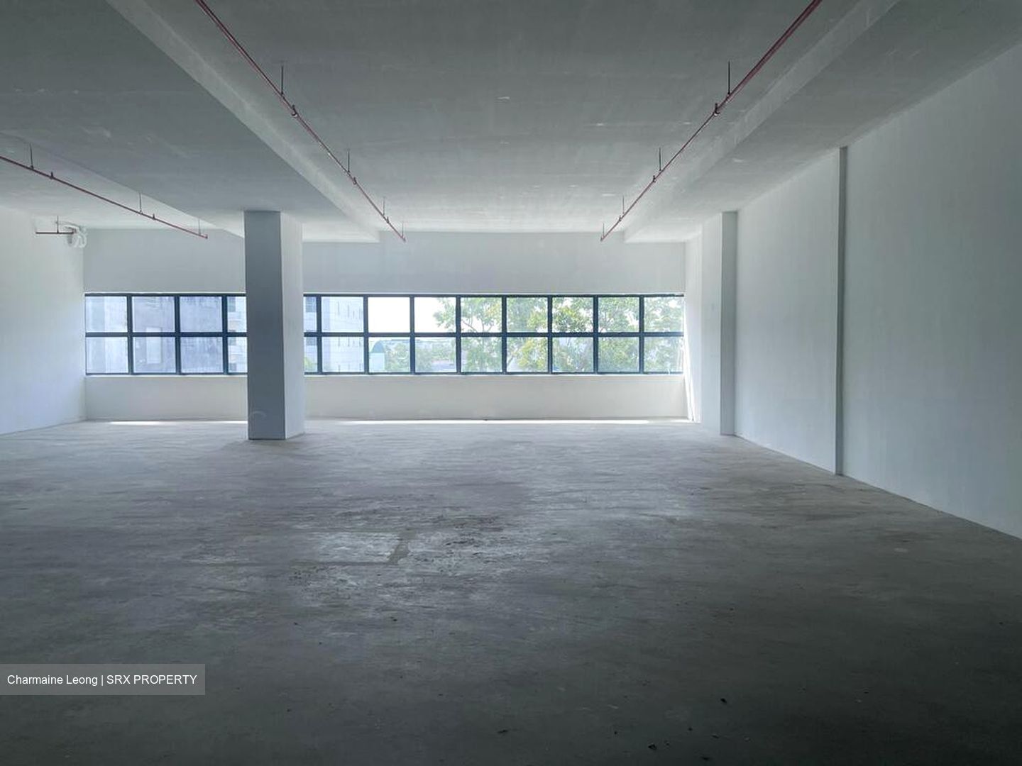 Loyang Industrial Estate (D17), Factory #525414371